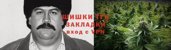 ECSTASY Алзамай